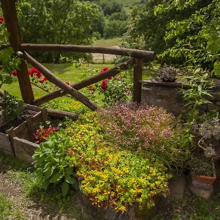 Nyaraló Podere Il Colle Radicondoli